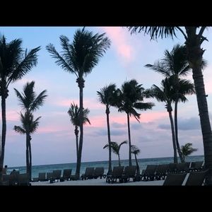 Meet your Posher, Shelly